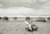�Moeraki