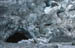 Glacier�